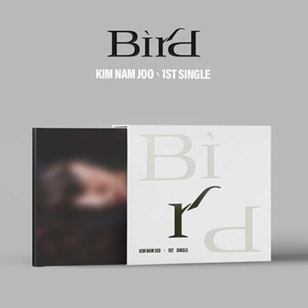APINK KIM NAM JOO - BIRD