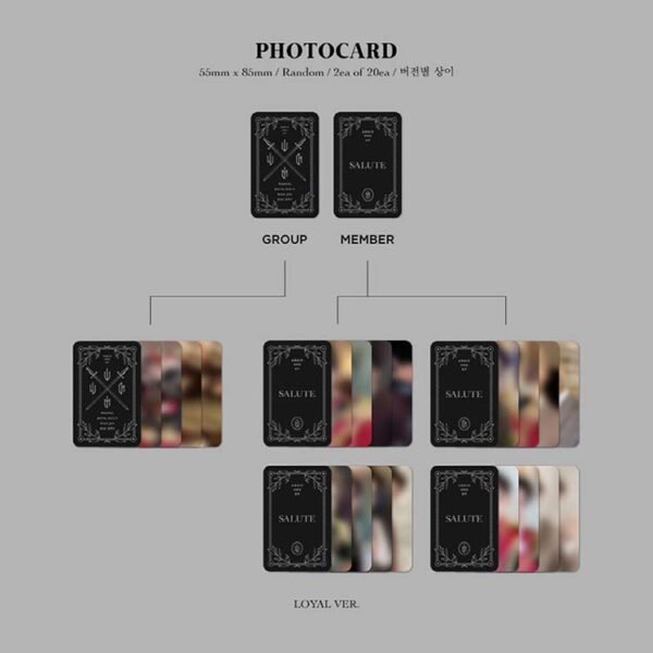AB6IX - SALUTE - Image 5