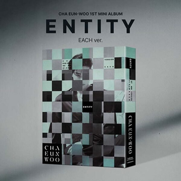 ASTRO CHA EUN WOO - ENTITY - Image 3