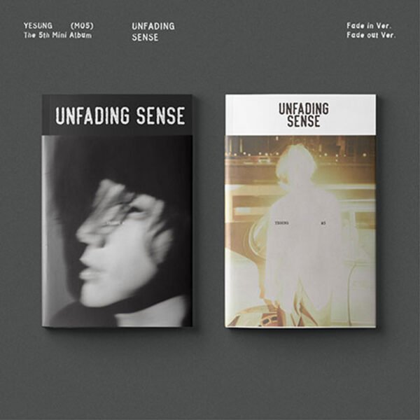 SUPER JUNIOR YESUNG - UNFANDING SENSE
