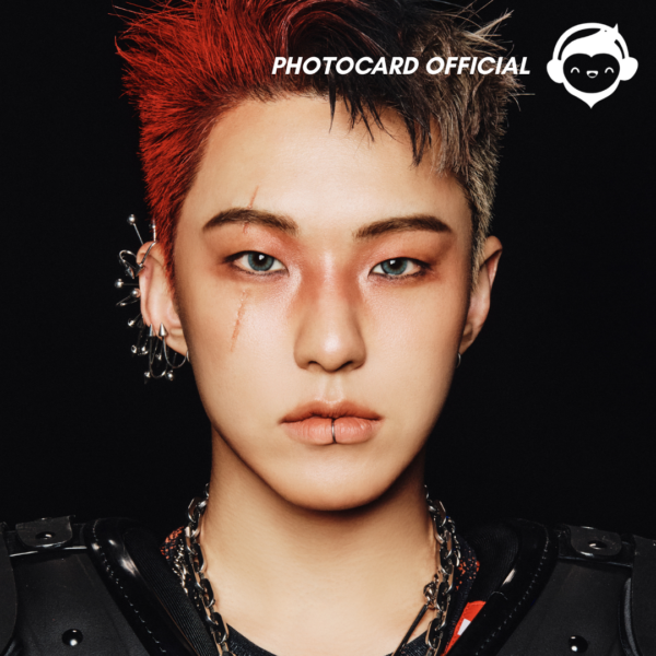 SEVENTEEN HOSHI - PHOTOCARDS OFICIALES